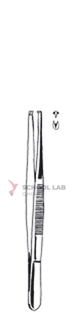Forceps,tissue,standard,145mm,str